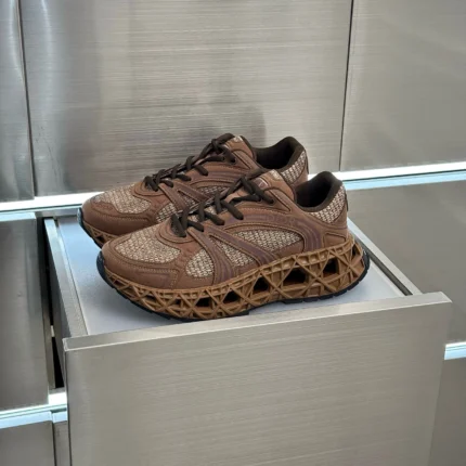DIOR B35
