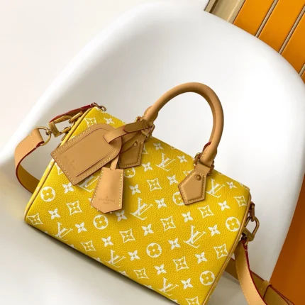 Louis Vuitton Speedy Soft 30