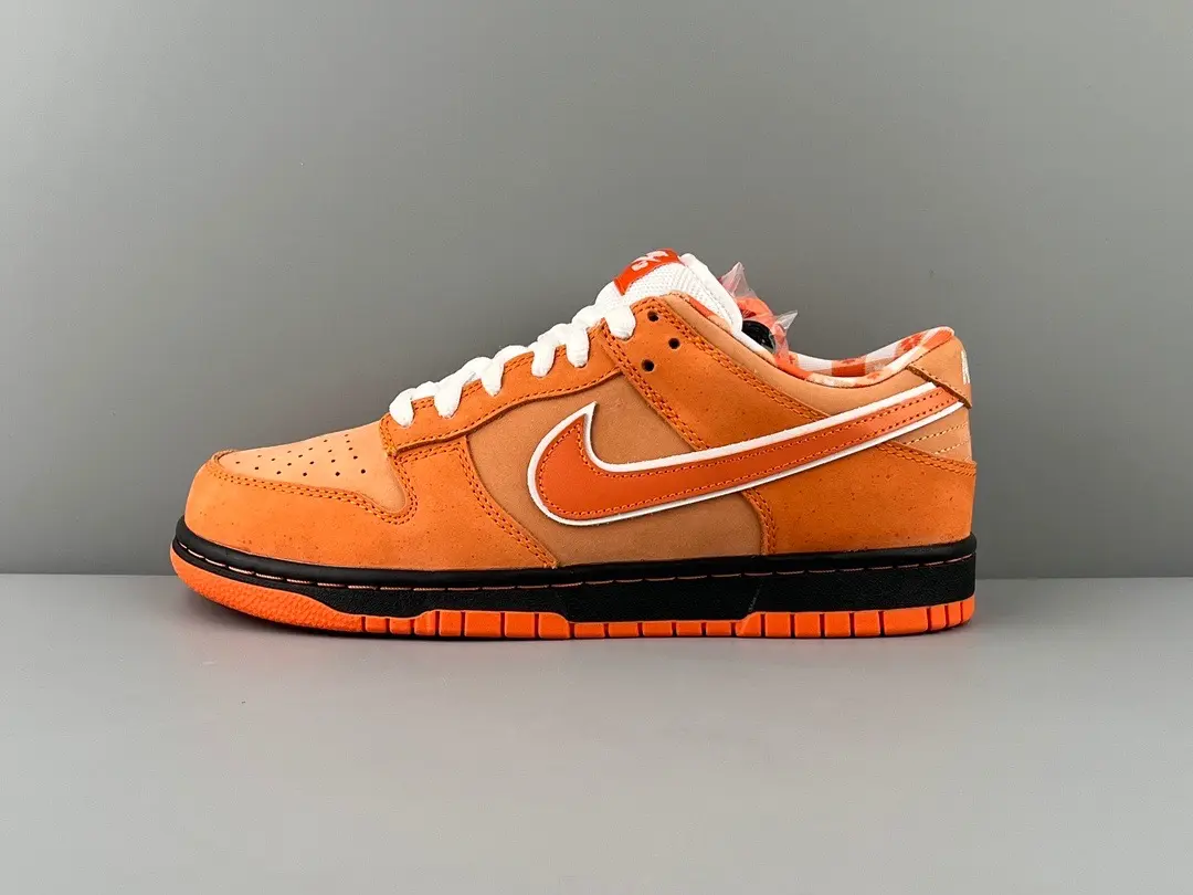 562E6207-88D6-4ABF-81B7-D452955CDC89